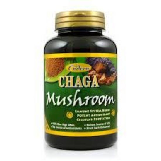 Picture of ZCodeco Chaga Mushroom